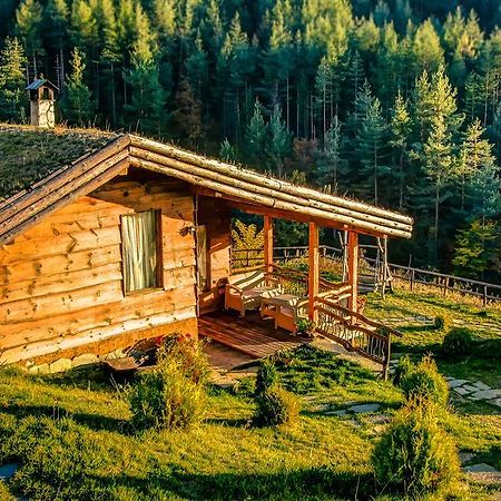 Панорама Хаус Лещен И Еко Къщи Дървена И Землянка Buitenkant foto