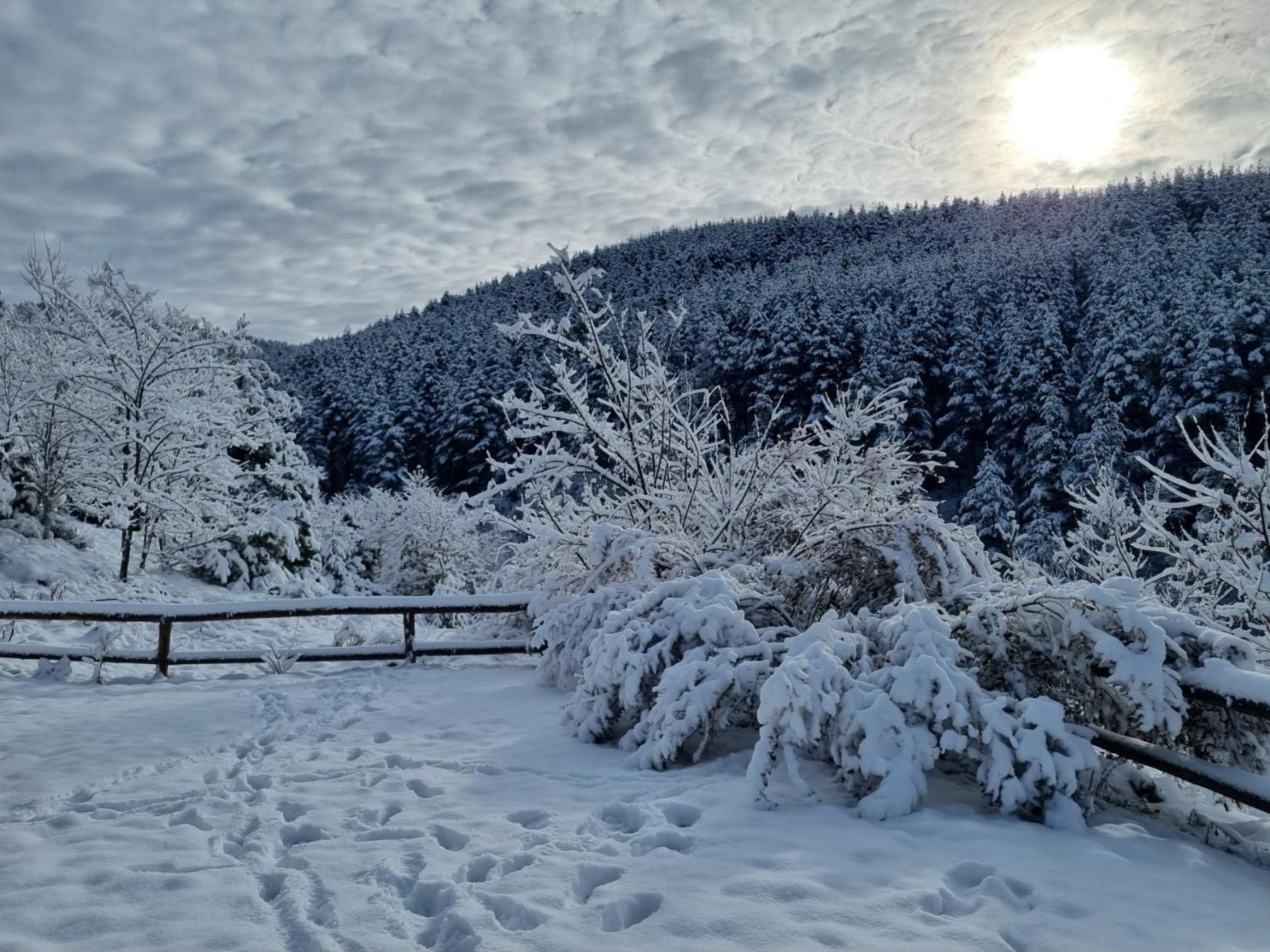 Панорама Хаус Лещен И Еко Къщи Дървена И Землянка Buitenkant foto