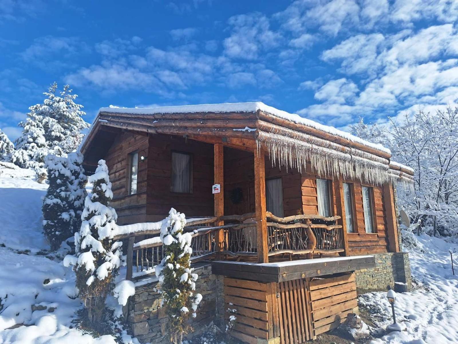 Панорама Хаус Лещен И Еко Къщи Дървена И Землянка Buitenkant foto
