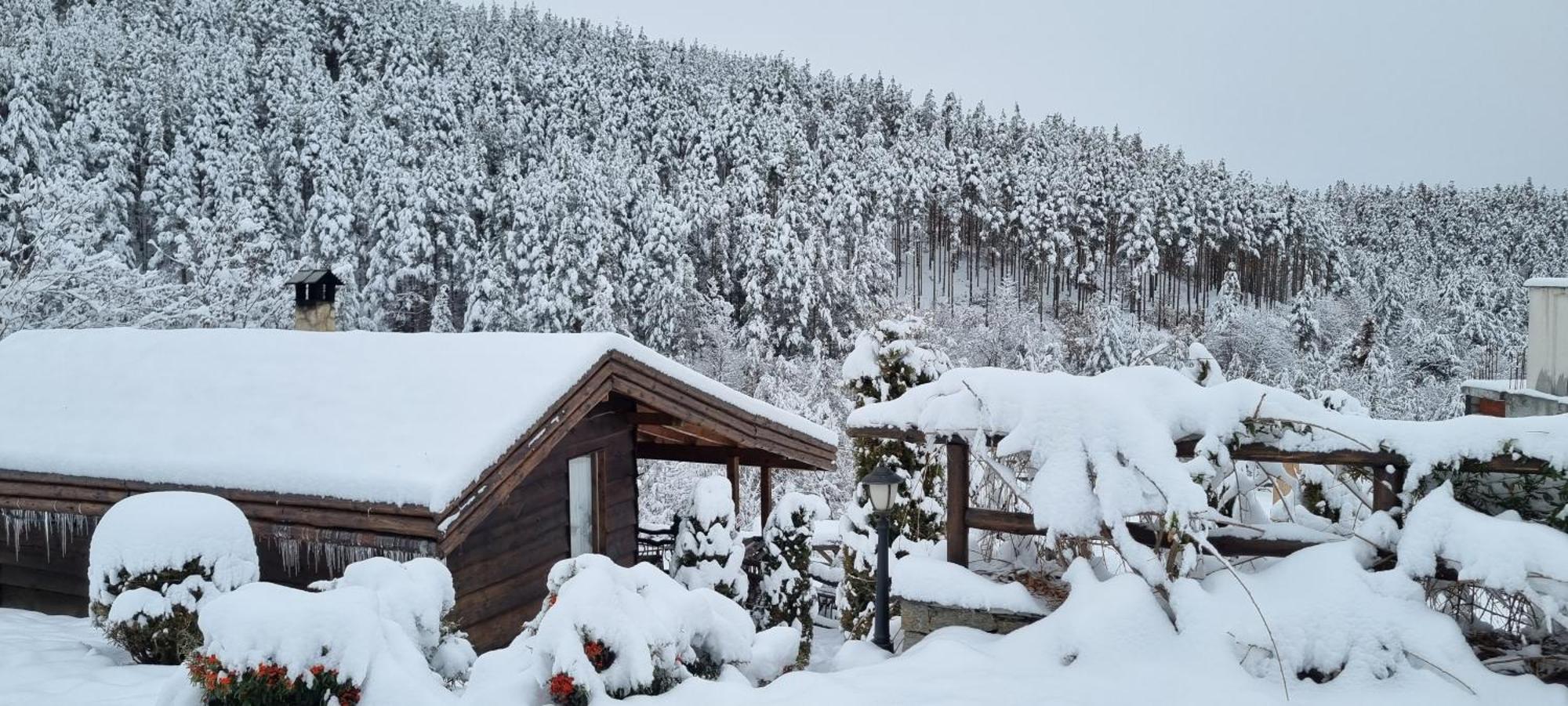 Панорама Хаус Лещен И Еко Къщи Дървена И Землянка Buitenkant foto