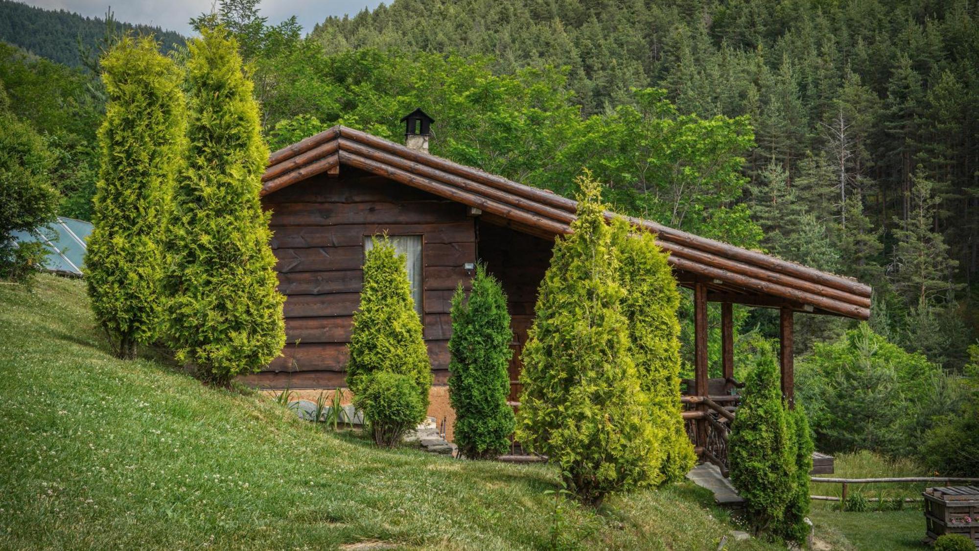 Панорама Хаус Лещен И Еко Къщи Дървена И Землянка Buitenkant foto