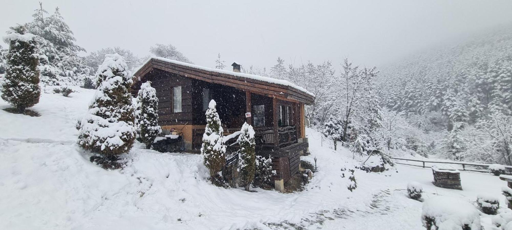 Панорама Хаус Лещен И Еко Къщи Дървена И Землянка Buitenkant foto