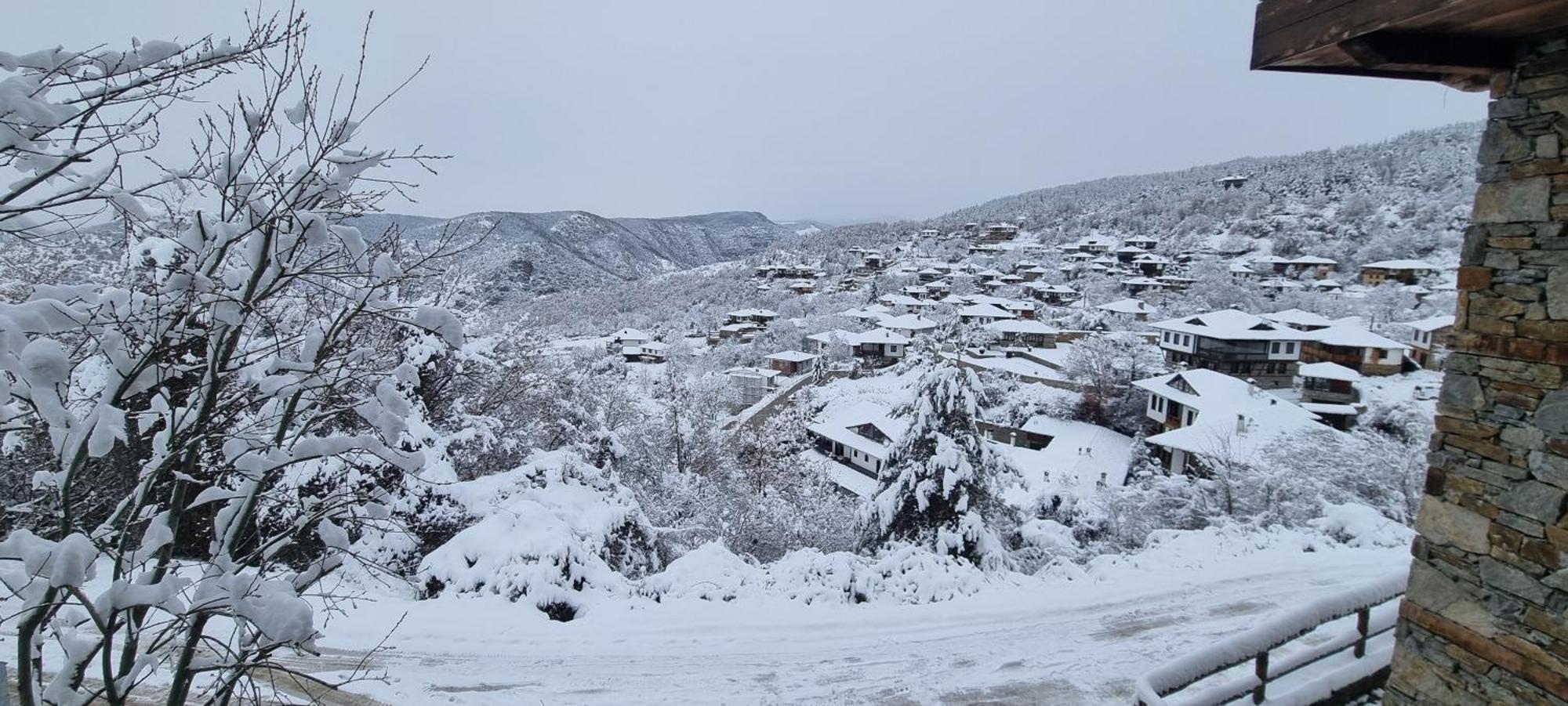 Панорама Хаус Лещен И Еко Къщи Дървена И Землянка Buitenkant foto