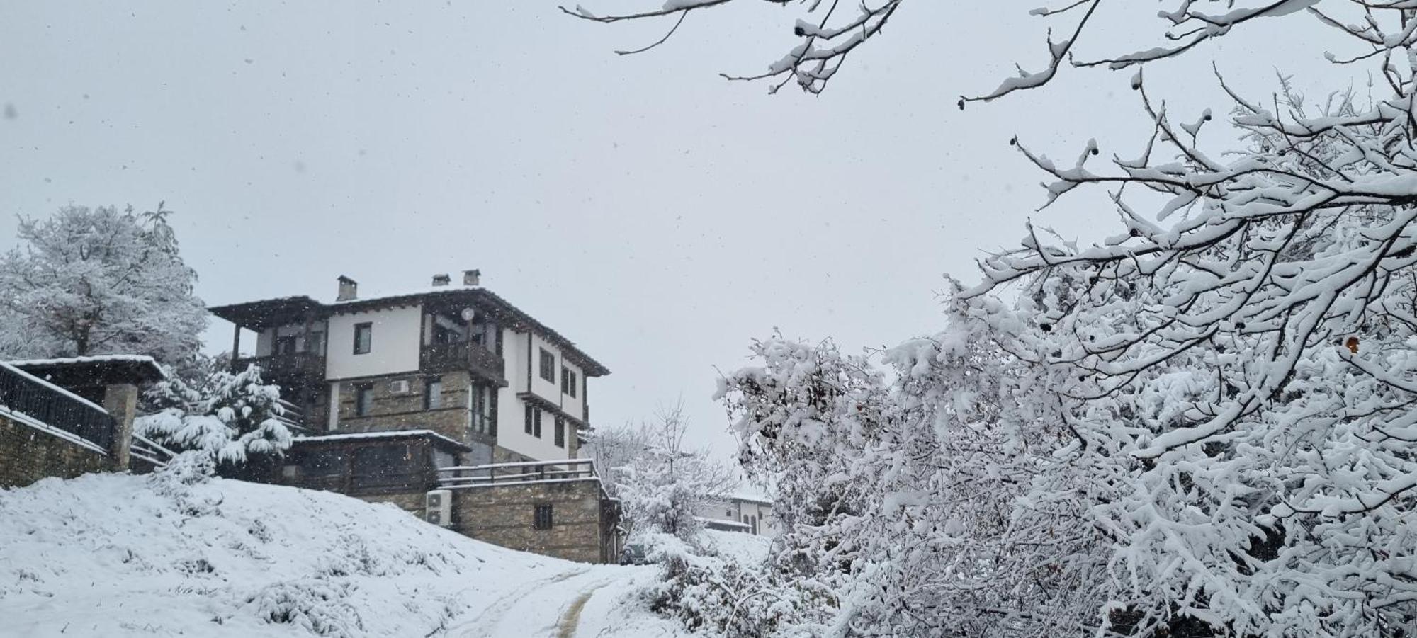 Панорама Хаус Лещен И Еко Къщи Дървена И Землянка Buitenkant foto