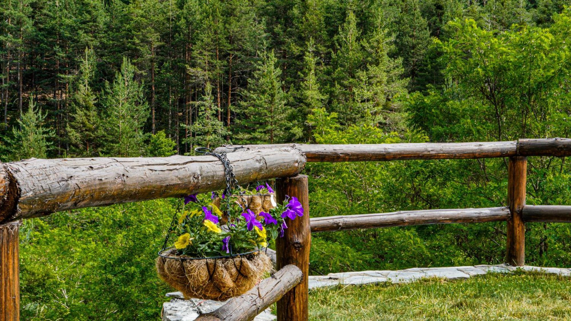 Панорама Хаус Лещен И Еко Къщи Дървена И Землянка Buitenkant foto